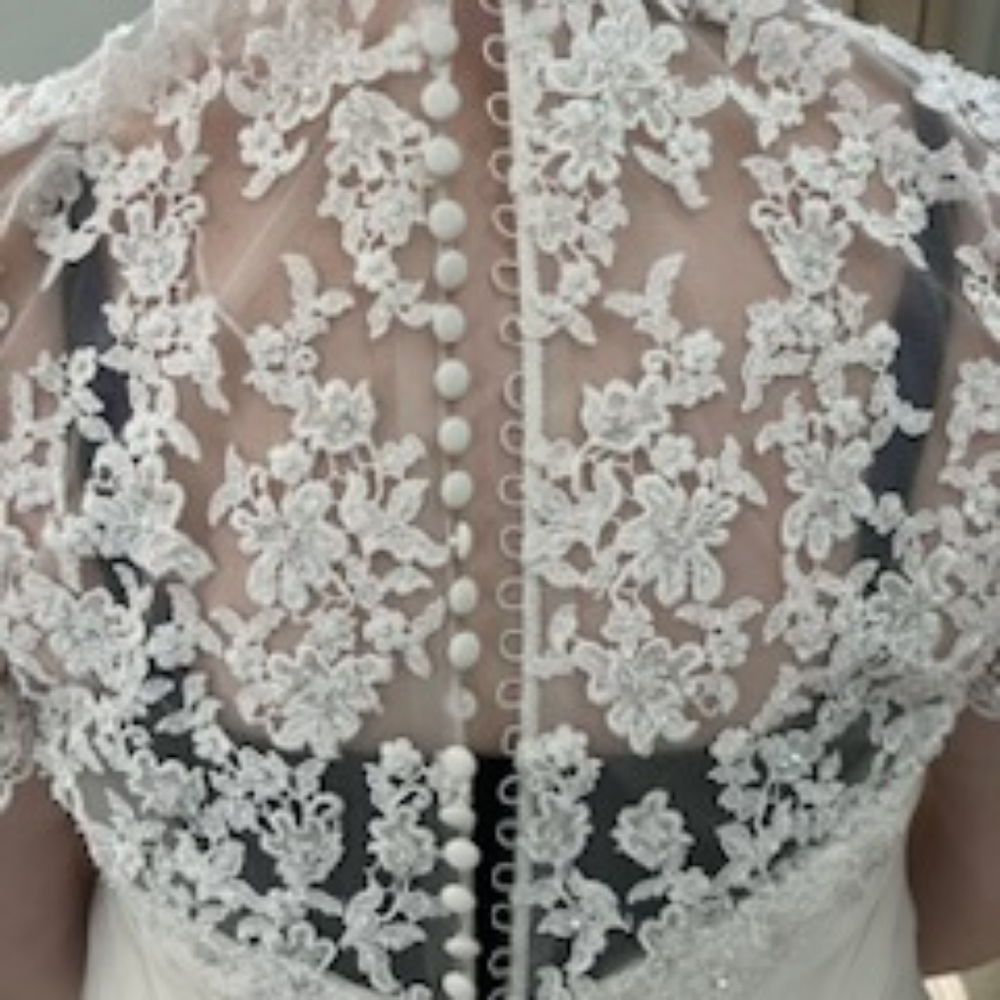 Gorgeous, plus size, off white, never worn wedding dress - Picture 4 of 9